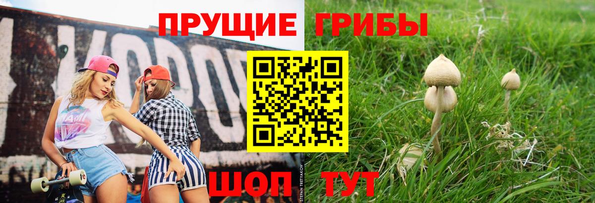 Галлюциногенные грибы мухоморы Сосновый Бор