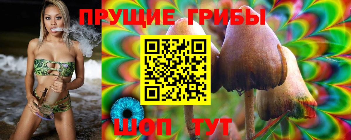 Сосновый Бор  дарнет шоп  Псилоцибиновые грибы ЛСД  Вход с VPN  Псилоцибиновые грибы Magic Shrooms 
